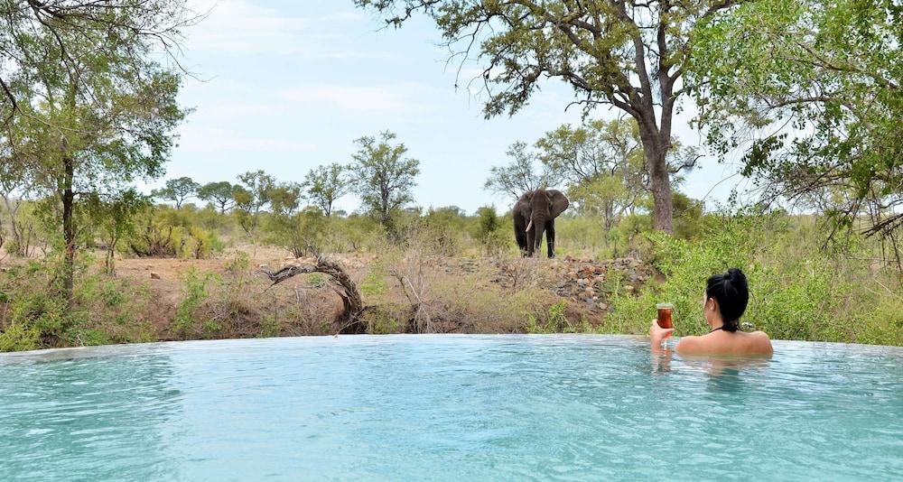 Hoyo Hoyo Safari Lodge Mluwati Concession Εξωτερικό φωτογραφία