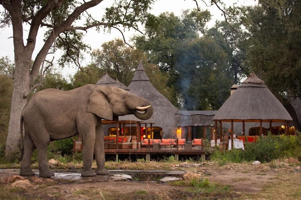 Hoyo Hoyo Safari Lodge Mluwati Concession Εξωτερικό φωτογραφία