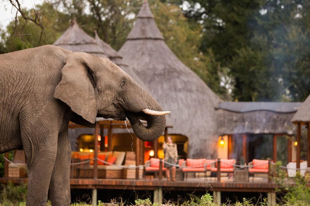 Hoyo Hoyo Safari Lodge Mluwati Concession Εξωτερικό φωτογραφία