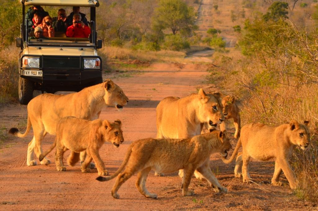 Hoyo Hoyo Safari Lodge Mluwati Concession Εξωτερικό φωτογραφία