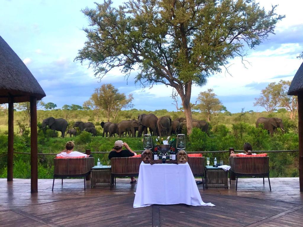 Hoyo Hoyo Safari Lodge Mluwati Concession Εξωτερικό φωτογραφία