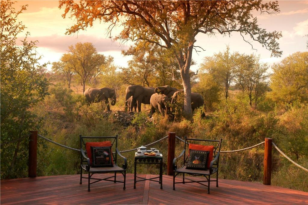 Hoyo Hoyo Safari Lodge Mluwati Concession Εξωτερικό φωτογραφία